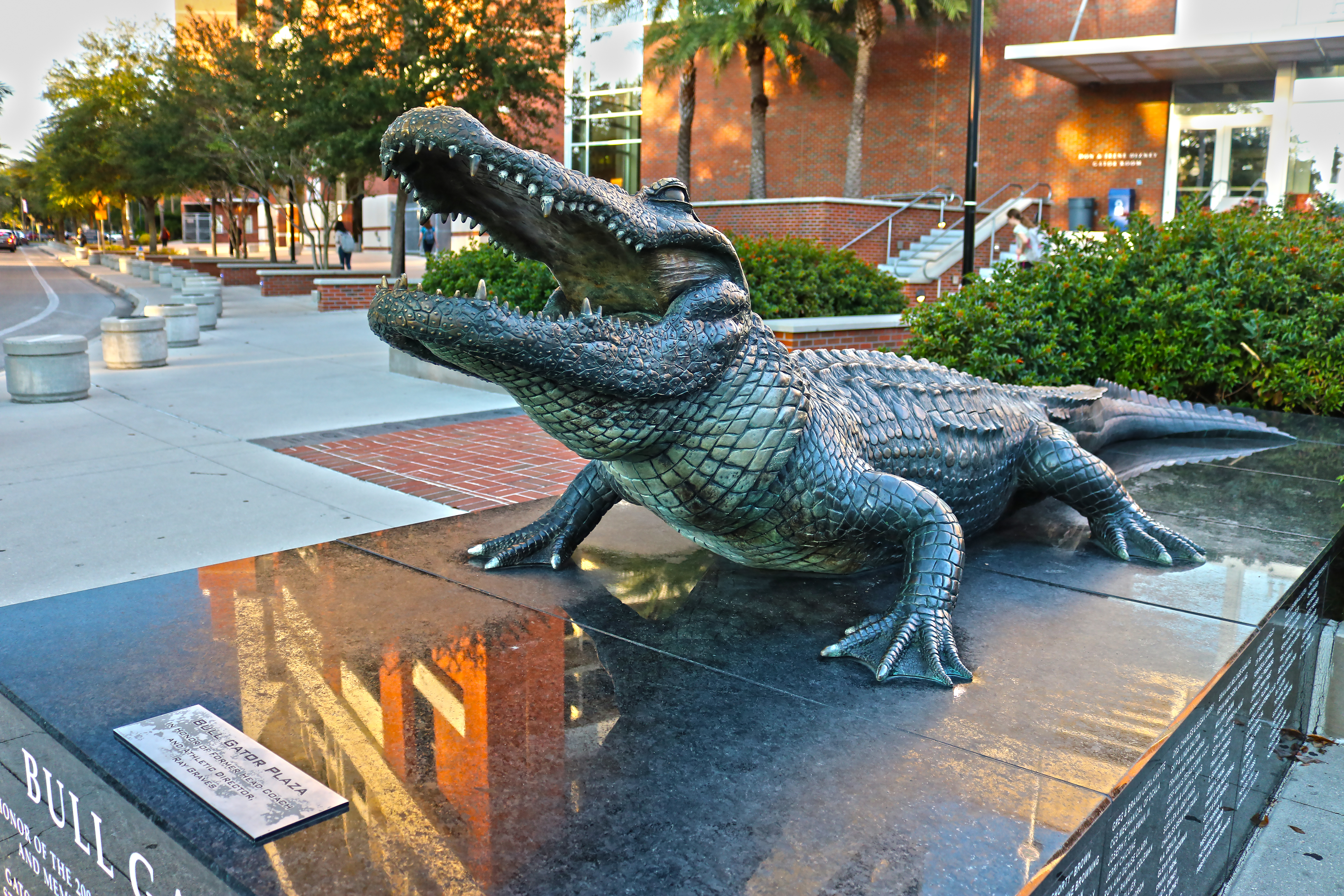 Bull Gator statue outside Heavener Hall at Ben Hill Griffin Stadium at the University of Florida