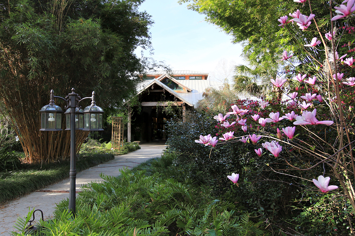 Guided Walk at Kanapaha Botanical Gardens