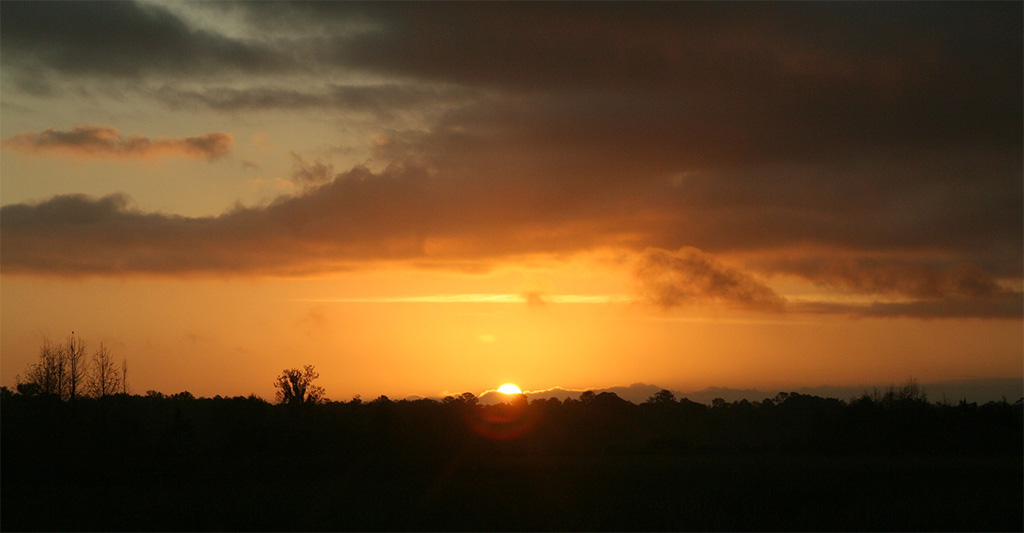 sunrise at sweetwater wetlands park