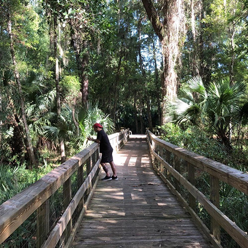 A man stands on a wooden walkway for a rest in Alachua County, Florida. 