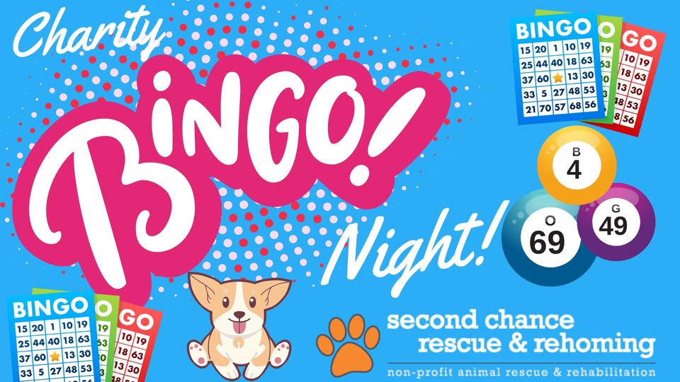 charity bingo night