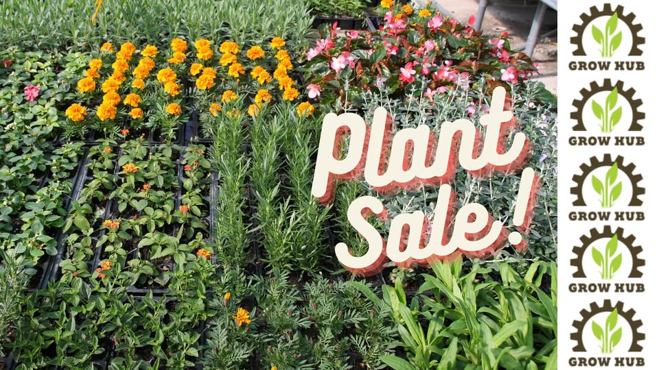 grow hub plant sale