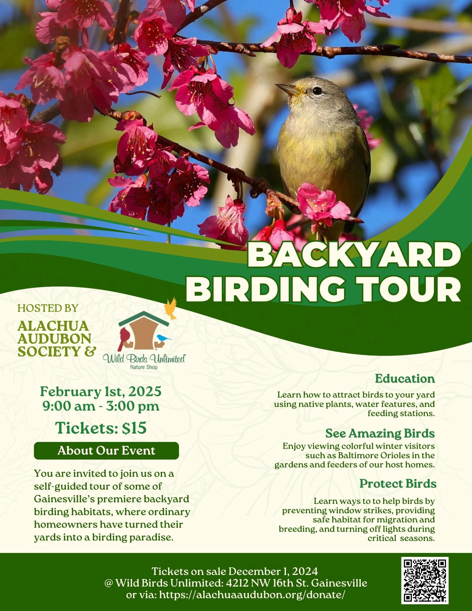 backyard birding tour poster