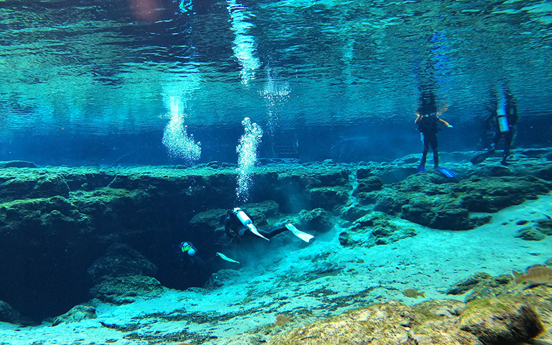 Freshwater Springs