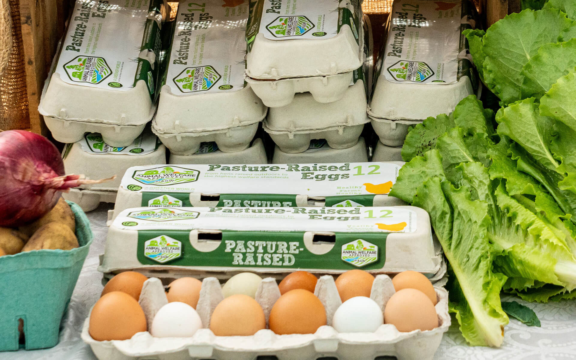 Farm fresh eggs and lettuce