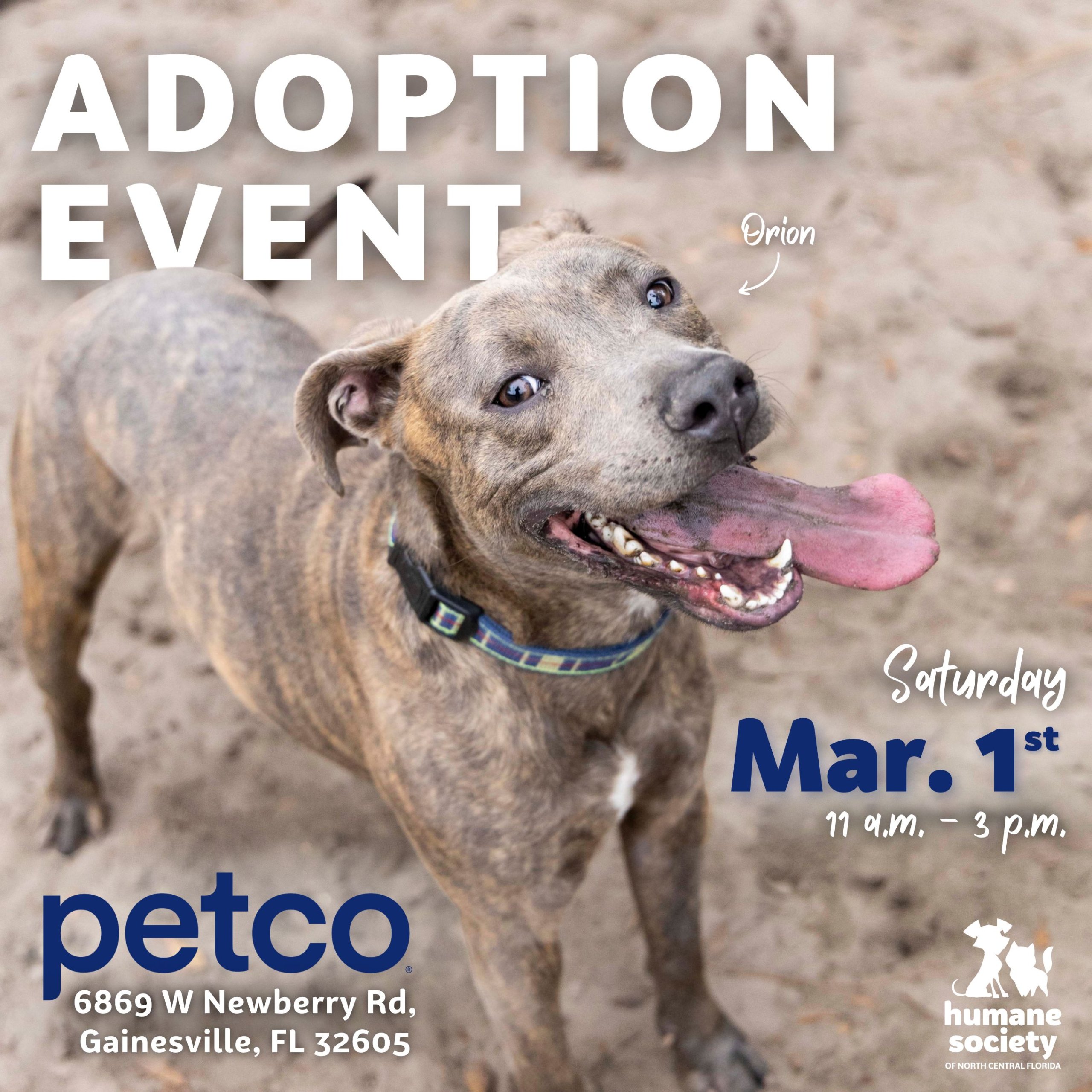 HSNCF Petco Adoption Event