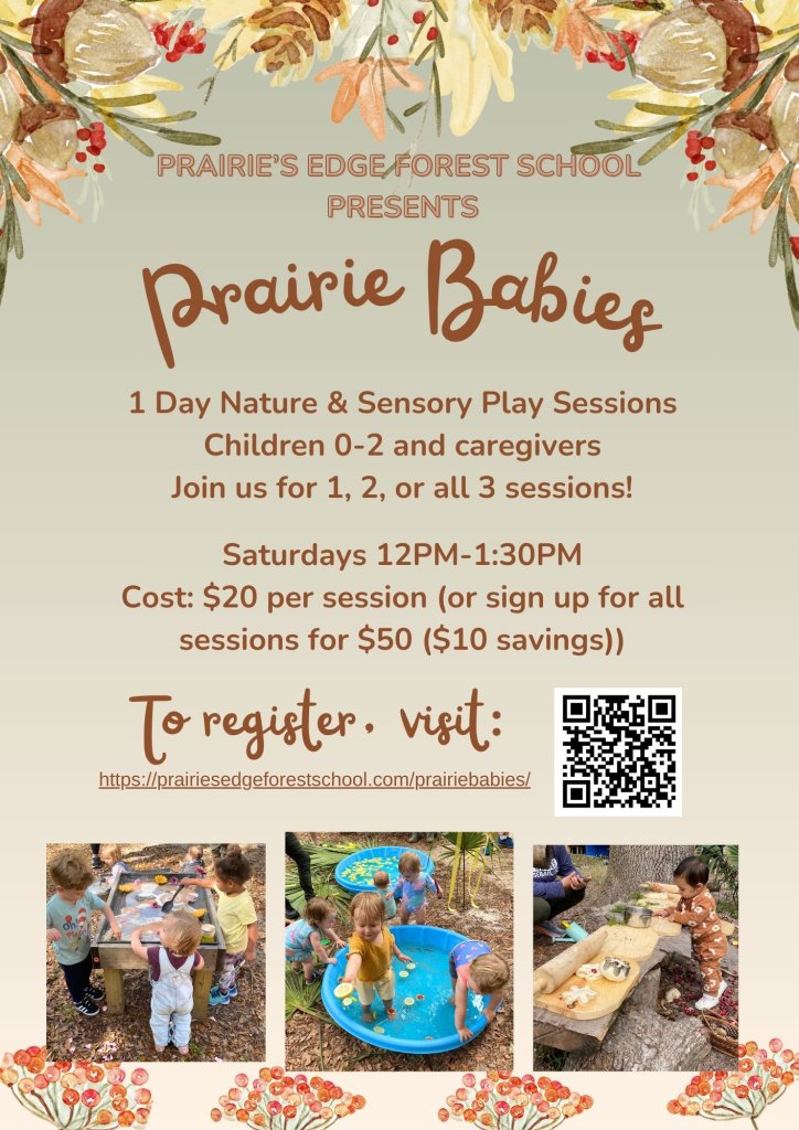 prairie babies winter session poster