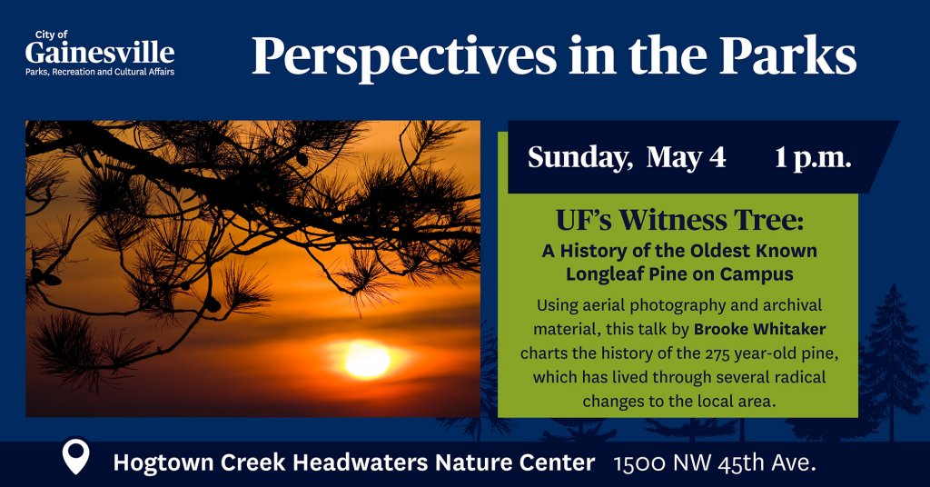 flyer for perspectives in the park - uf's witness tree on may 4