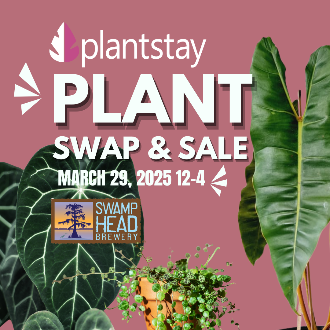 plantstay plant swap and sale