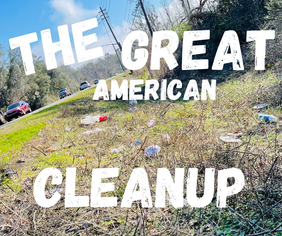 The Great American Cleanup