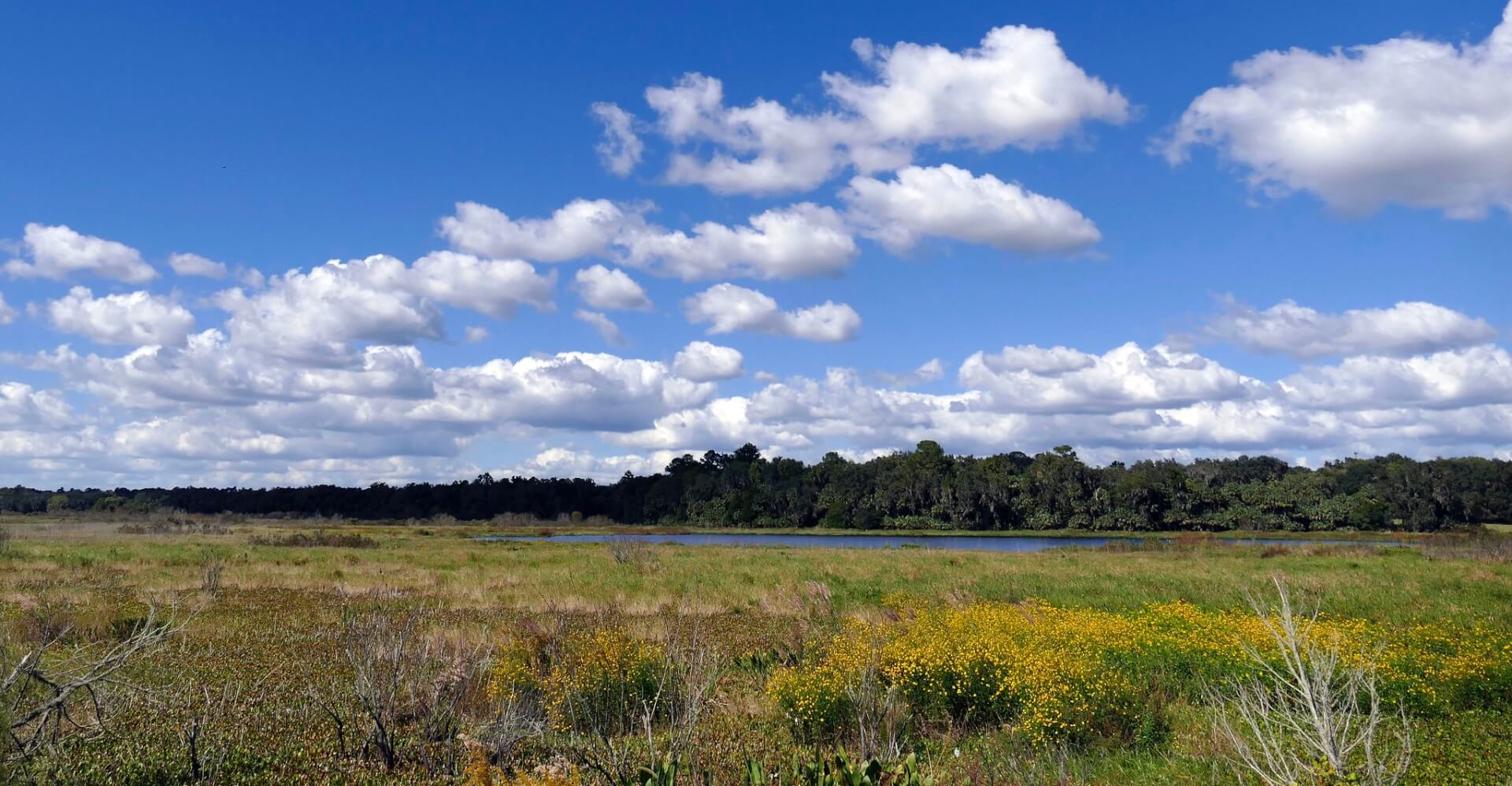 barr hammock preserve