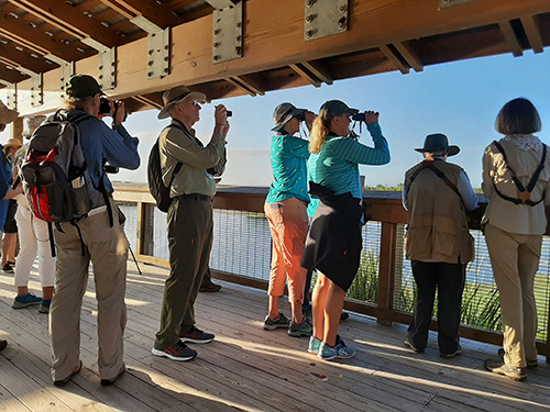 A small group stands on a bridge searching for birds with binoculars in Alachua County, Florida. 