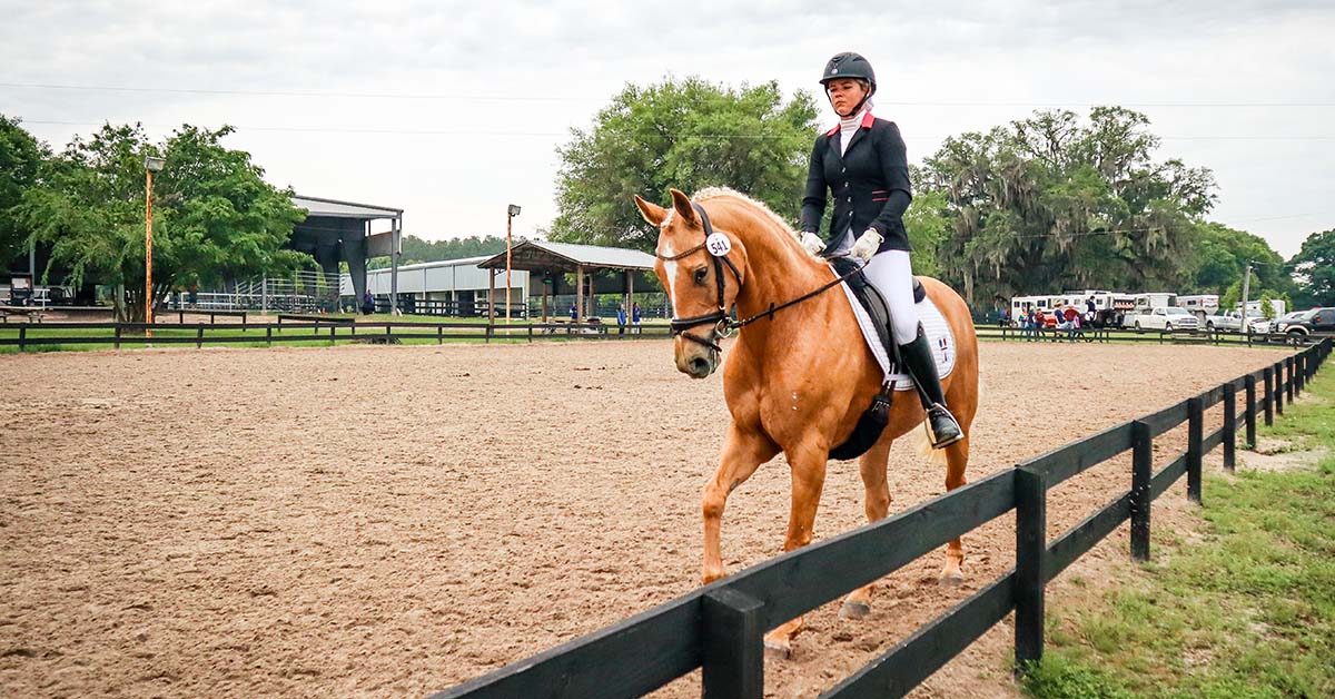 dressage southeast horse shows equestrian