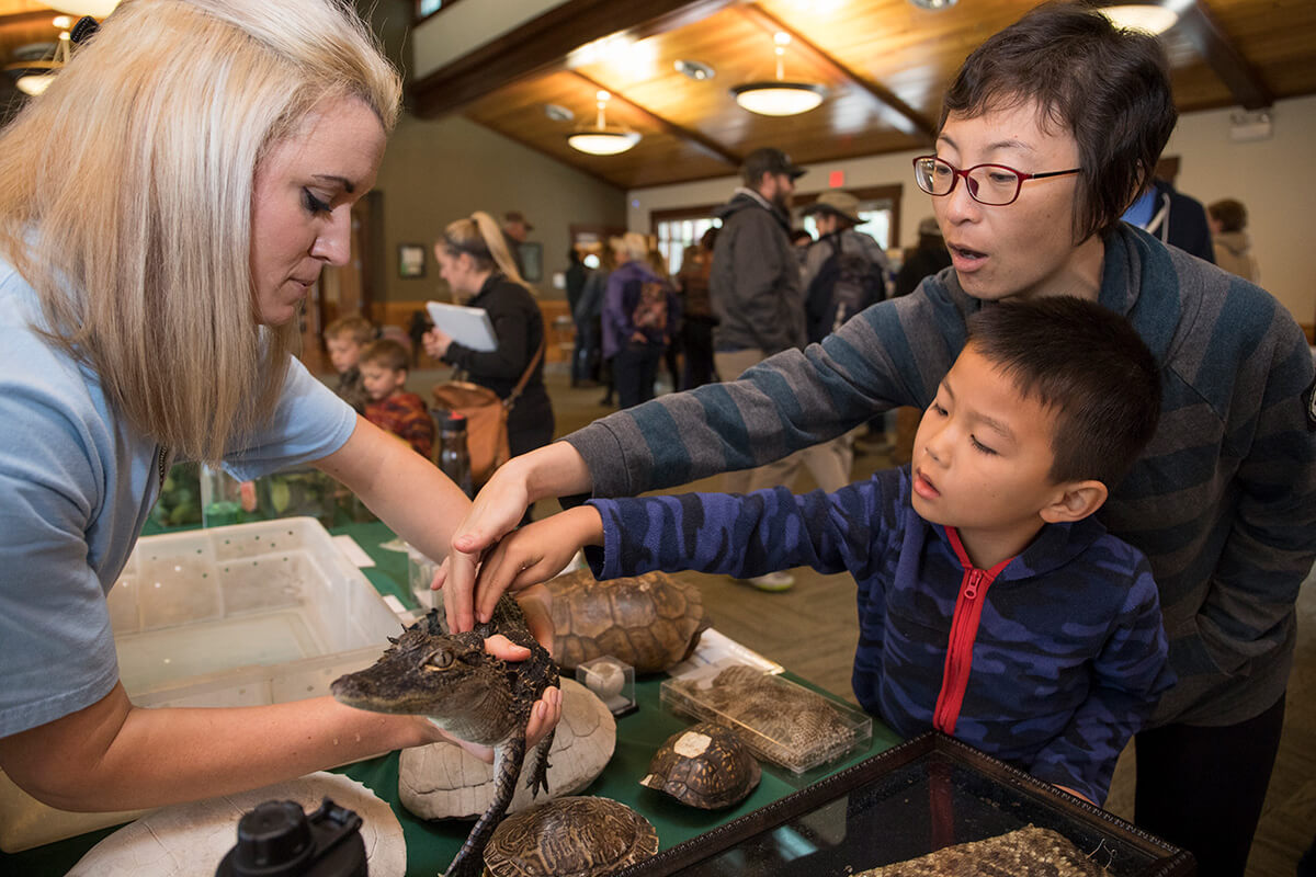 family examining an alligator exhibit