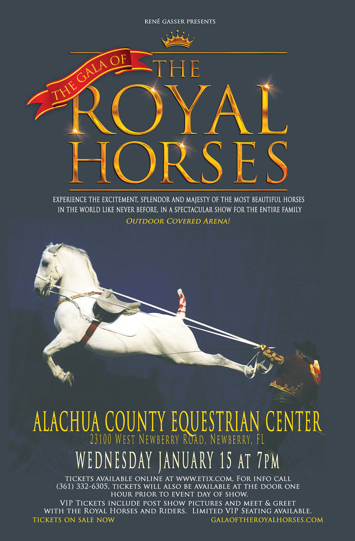 gala of the royal horses poster