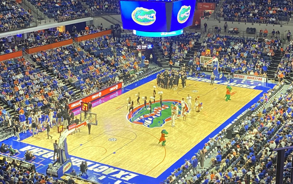 gators basketball at the oconnell center