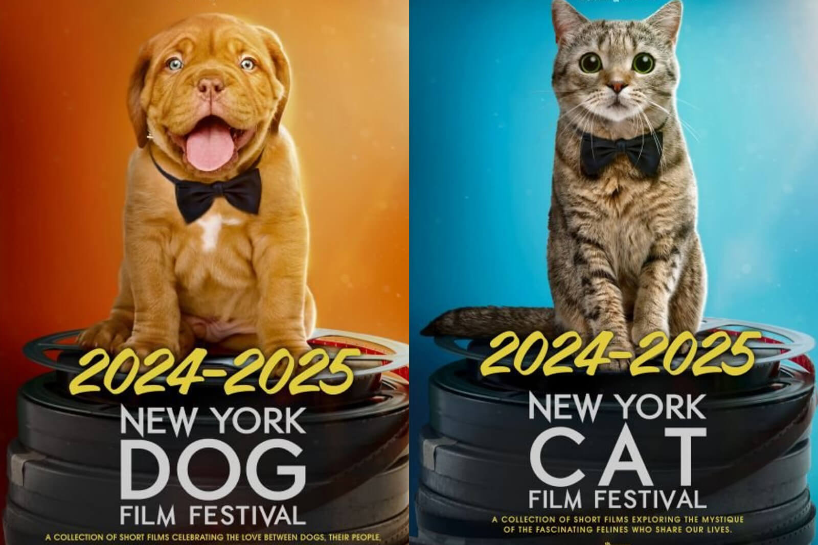 posters for the ny dog and cat film festivals