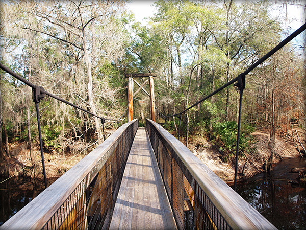 A narrow wooden bridge spans over a river in Alachua County, Florida. 