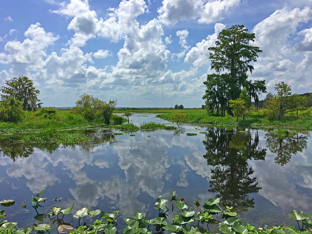 orange lake