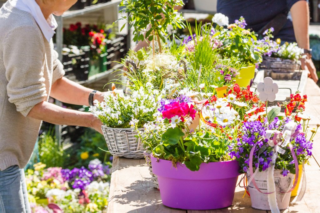 person setting out plants for sale