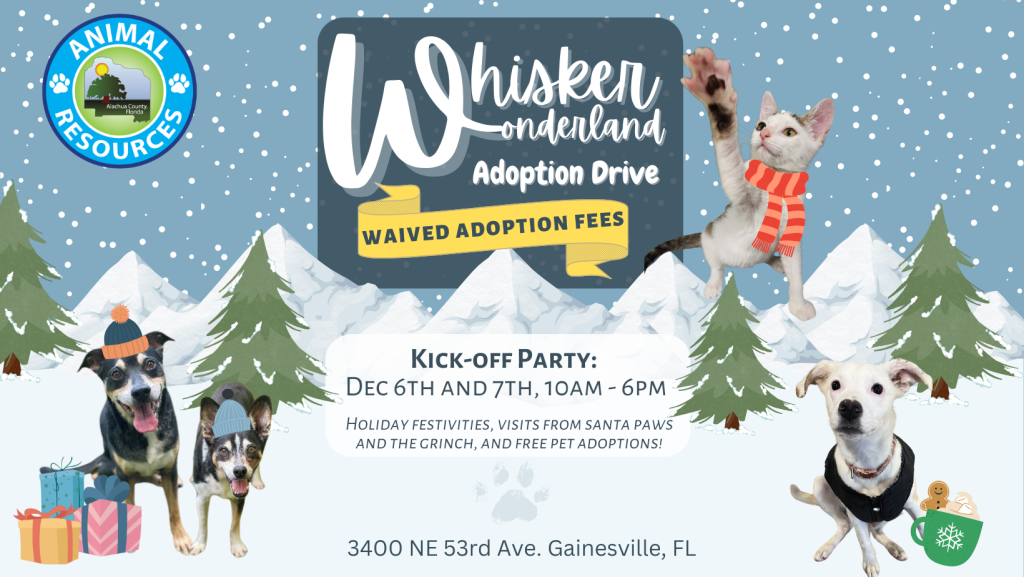 whisker wonderland adoption drive